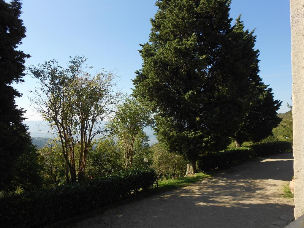 Castelfranco di Sopra Fattoria Il Praticino 빌라 외부 사진